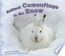 Animal Camouflage in the Snow cover