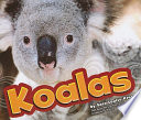 Koalas cover