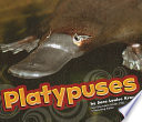 Platypuses cover