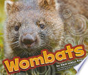 Wombats cover