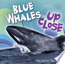 Blue Whales up Close cover