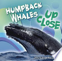 Humpback Whales up Close cover