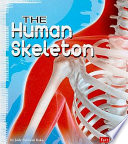 The Human Skeleton cover