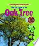 The Life Cycle of an Oak Tree cover