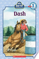 Dash cover