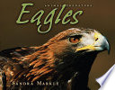 Eagles cover