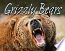 Grizzly Bears cover