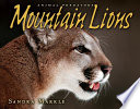 Mountain Lions cover