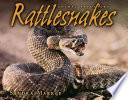 Rattlesnakes cover