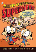 The Brotherhood of the Traveling Underpants cover