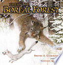 Life in the Boreal Forest cover