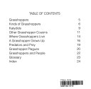 Grasshoppers cover