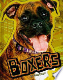 Boxers cover
