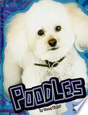 Poodles cover