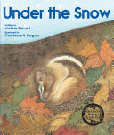 Under the Snow cover