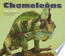 Chameleons cover