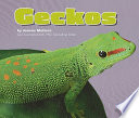 Geckos cover