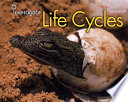 Life Cycles cover