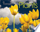 Plants cover
