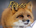 Foxes cover