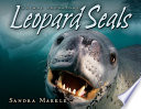 Leopard Seals cover