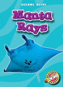 Manta Rays cover