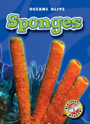 Sponges cover