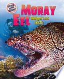 Moray Eel: Dangerous Teeth cover