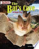 The Bat's Cave: A Dark City cover