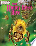 The Honey Bee's Hive: A Thriving City cover