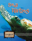 Sea Turtles cover