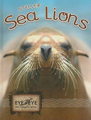 Steller Sea Lions cover