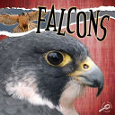 Falcons cover