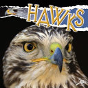 Hawks cover