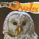 Owls cover