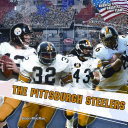 The Pittsburgh Steelers cover
