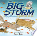 The Big Storm: A Very Soggy Counting Book cover