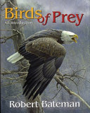 Birds of Prey: An Introduction cover