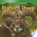 Bighorn Sheep (Revised) cover
