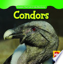Condors (Revised) cover