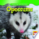 Opossums (Revised) cover