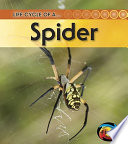 Spider (Revised Edition) cover