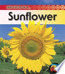 Sunflower (Revised Edition) cover