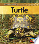 Turtle (Revised Edition) cover