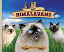 Hip Himalayans cover