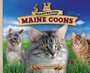 Marvelous Maine Coons cover