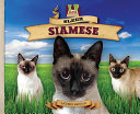 Sleek Siamese cover