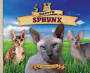 Smooth Sphynx cover