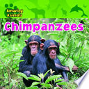 Chimpanzees cover