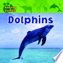 Dolphins cover